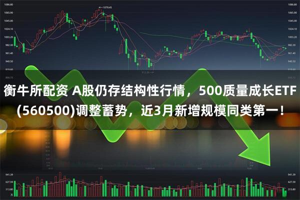 衡牛所配资 A股仍存结构性行情，500质量成长ETF(560500)调整蓄势，近3月新增规模同类第一！