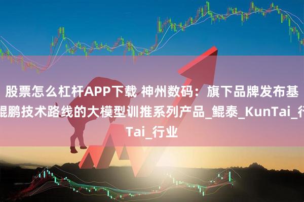 股票怎么杠杆APP下载 神州数码：旗下品牌发布基于鲲鹏技术路线的大模型训推系列产品_鲲泰_KunTai_行业