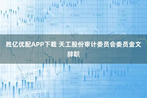 胜亿优配APP下载 天工股份审计委员会委员金文辞职