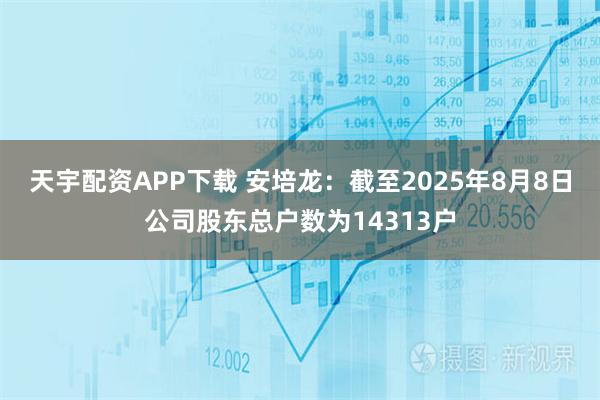 天宇配资APP下载 安培龙：截至2025年8月8日公司股东总户数为14313户